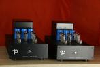 Pink Faun Tube Amp 1x50 / 1 x 50 TRADE.INRUIL. Mooie mono's., Versterker, Ophalen of Verzenden, Pink Faun, Oude Apeldoornseweg 41-45, 7333 NR, Apeldoorn, Nederland