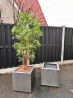 Plantenbakken RVS met wieltjes, hoge kwaliteit, Ophalen, Minder dan 60 cm, Vierkant, Binnen