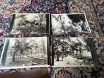 Duits Nieuw Guinea. / Australisch Nieuw Guinea.. 4 Oude Foto, Ophalen of Verzenden, Voor 1920, Ongelopen, Duitsland