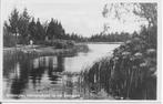 Groningen Natuurschoon in het Stadspark., Ophalen of Verzenden, 1940 tot 1960, Gelopen, Groningen