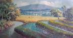 Nr 55 schilderdoek van een landschap uit indonesie, Ophalen of Verzenden