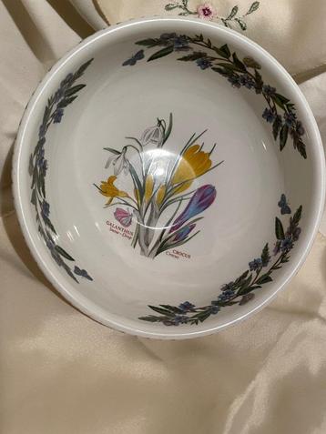 Saladeschaal Botanic Garden beschikbaar voor biedingen