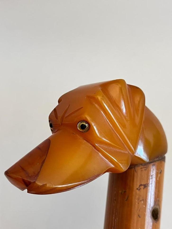 Prachtige Hondenkop handgreep in Amber Bakeliet - Catalin, Sieraden, Tassen en Uiterlijk, Paraplu's, Zo goed als nieuw, Verzenden