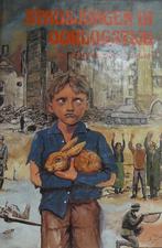 Stadsjongen in oorlogstijd 9789071643026, Boeken, Ophalen of Verzenden, Zo goed als nieuw, R. Hoogerwerf-Holleman