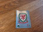 Panini EK 2016, Ophalen of Verzenden, Zo goed als nieuw, Buitenlandse clubs, Poster, Plaatje of Sticker