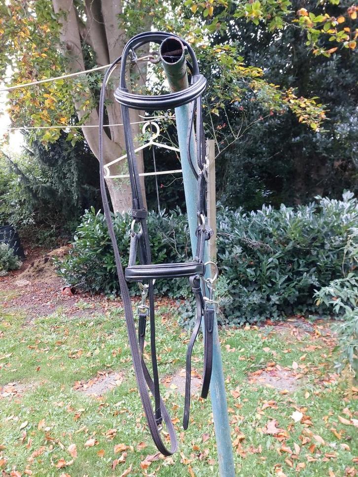 Bitloos hoofdstel F.R.A. Pardoes maat cob, Dieren en Toebehoren, Paarden en Pony's | Hoofdstellen en Tuigage, Zo goed als nieuw