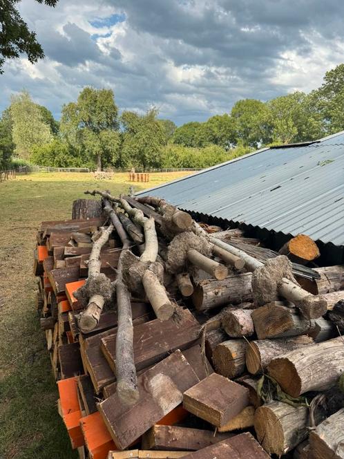 Lange houten palen voor decoratie, Tuin en Terras, Haardhout, Takken, Overige houtsoorten, Minder dan 3 m³, Ophalen