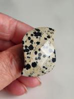 Ring van Dalmatiër Jaspis mt 19., Verzenden, Nieuw, 19 tot 20, Dame