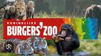 Kaartjes voor Burgers Zoo, Tickets en Kaartjes, Recreatie | Dierentuinen, Drie personen of meer