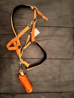 Halsterset (halster plus touw), Dieren en Toebehoren, Paarden en Pony's | Hoofdstellen en Tuigage, Ophalen of Verzenden, Nieuw