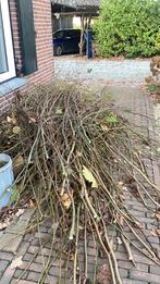 Gratis Takken Leilinde - Af te halen, Tuin en Terras, Ophalen, Gebruikt