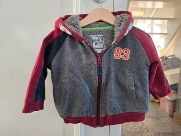 BabyBlue borgvest maat 86 jongen baby beschikbaar voor biedingen