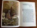 Zeemansleven - Prof. Dr. H. Brugmans - ca. 1939, Antiek en Kunst, Antiek | Boeken en Bijbels, Ophalen of Verzenden, Hayo Brugmans
