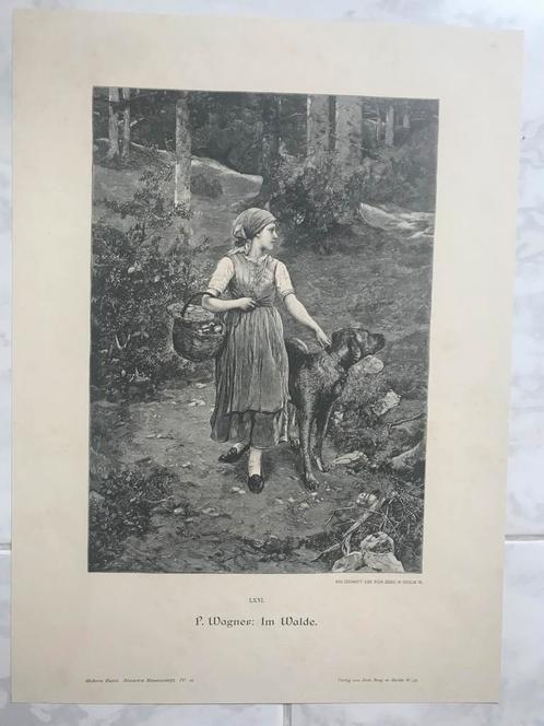 Paul Wagner: Im Walde, 1890, or. gravure 1890, 25x17cm. Mooi, Antiek en Kunst, Kunst | Etsen en Gravures, Ophalen of Verzenden