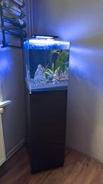 Blue marine reef 60 inclusief kast en lamp, Dieren en Toebehoren, Ophalen of Verzenden, Zo goed als nieuw, Leeg aquarium