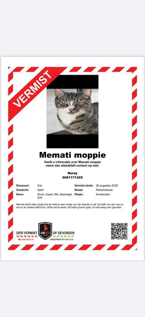 Vermist in Amsterdam, zie omschrijving !, Dieren en Toebehoren, Vermiste en Gevonden Dieren, Kat