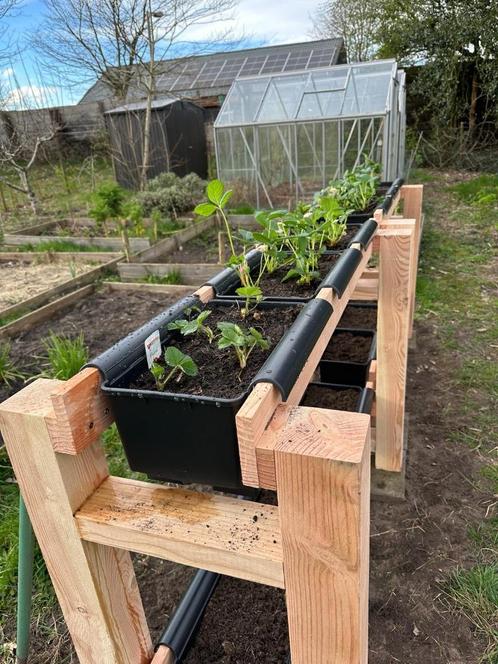 Aardbeienrek voor Batobakken, Tuin en Terras, Kweekspullen, Nieuw, Kweekbak, Ophalen