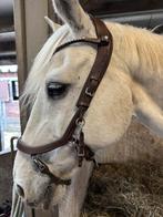 Bruin Presteq hoofdstel maat Full, Ophalen of Verzenden, Zo goed als nieuw, Dressuur