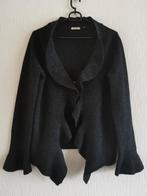 100%wollen vest, Kleding | Dames, Truien en Vesten, Ophalen of Verzenden, Zo goed als nieuw