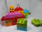 Duplo Mijn eerste rups, Ophalen of Verzenden, Complete set, Duplo