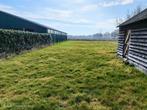 Weidegang, weiland, grasland, Dieren en Toebehoren, Stalling en Weidegang, Weidegang, 2 of 3 paarden of pony's