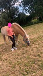 Gezocht, Dieren en Toebehoren, Ophalen, Nieuw, Overige soorten