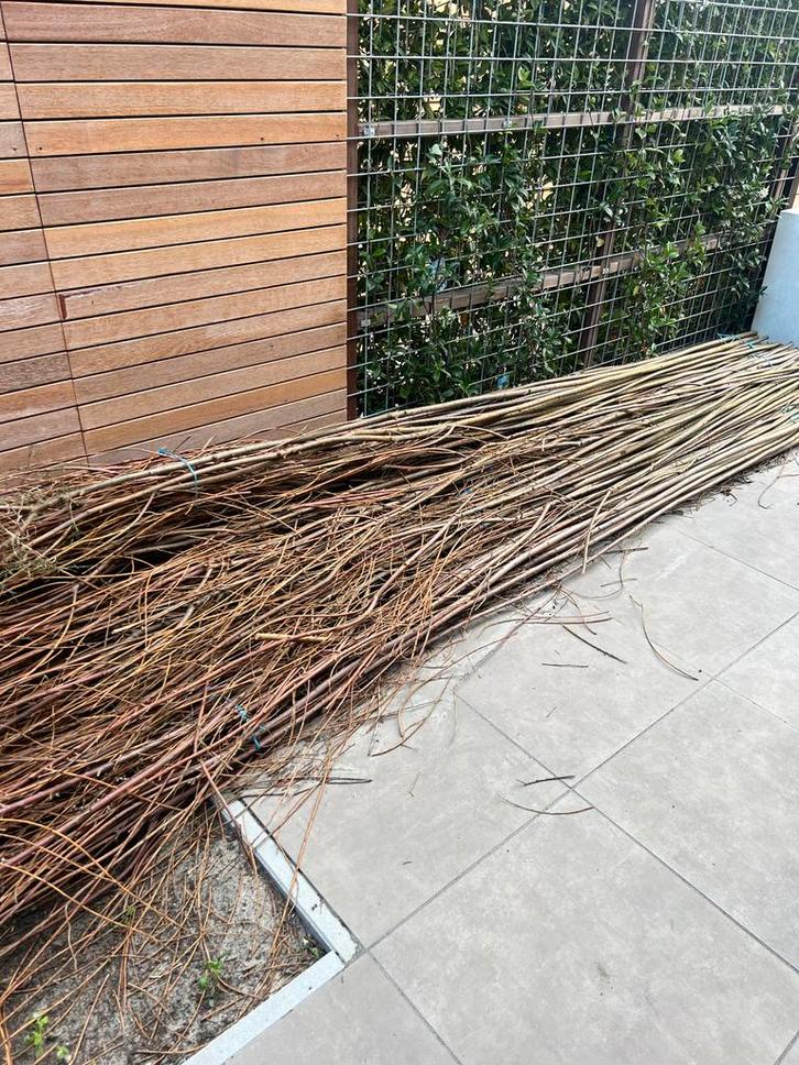 Gratis wilgentenen - Ideaal voor tuinafscheiding!, Tuin en Terras, Palen, Balken en Planken, Gebruikt, Overige typen, 180 tot 250 cm