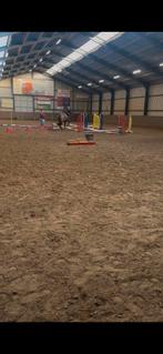 Lease/bijrijd paard gezocht!, Ophalen of Verzenden, Zo goed als nieuw