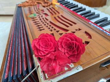 harmonium les voor beginners in Den Bosch