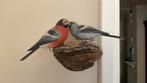Houten geschilderd vogels op nest lokvogels, Ophalen of Verzenden