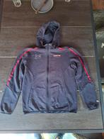 Red Bull Racing Puma Vest, Kleding | Heren, Puma, Blauw, Overige maten, Ophalen of Verzenden