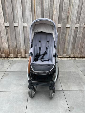 Mutsy beschikbaar voor biedingen