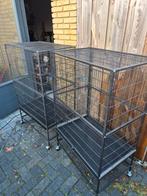 2x grote vogelkooien, Dieren en Toebehoren, Vogels | Hokken en Kooien, Ophalen, Zo goed als nieuw, Metaal, Vogelkooi