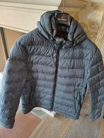Padded jas Peuterey - Maat XL - Grijs, Kleding | Heren, Jassen | Winter, Maat 56/58 (XL), Ophalen of Verzenden, Grijs, Gedragen