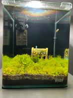 Dennerle Nano Cube 20L & Power-Led 5.0 & Aquael Pat Mini, Dieren en Toebehoren, Vissen | Aquaria en Toebehoren, Zo goed als nieuw