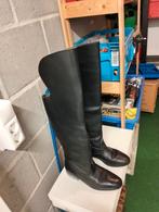 Carnavals prinsen laarzen, Ophalen of Verzenden, Zo goed als nieuw, Overige typen, Carnaval