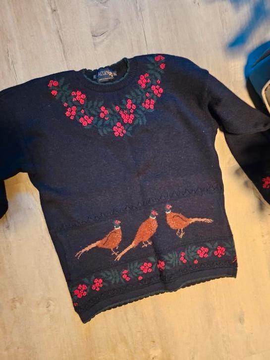 Mooie wollen country trui van het merk Acorn. Xl 44 46, Kleding | Dames, Truien en Vesten, Zo goed als nieuw, Maat 46/48 (XL) of groter