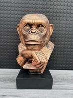 aap buste 40hoog 25breed/Nieuw!, Ophalen of Verzenden, Nieuw, Dier