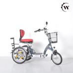 Van Raam Easy Go Scootmobiel/Fiets, Ophalen, Gebruikt, Van Raam