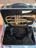 Cornet blaasinstrument, Muziek en Instrumenten, Blaasinstrumenten | Overige, Ophalen of Verzenden, Gebruikt, Koperblazer