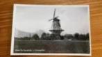 Zwart-wit ansichtkaart: Molen de korenhalm ‘s Gravenpolder, Ophalen of Verzenden, 1960 tot 1980, Noord-Brabant