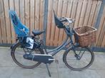 Cortina roots moederfiets met zitjes 28 inch 51 cm 7 versnel, 2 zitjes, Zo goed als nieuw, Mandje, 50 tot 53 cm