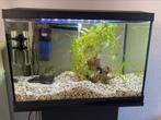 SuperFish, Breedte 56 cm, Hoogte 38 cm, 70 liter, Ophalen, Gebruikt, Verlichting of Verwarming