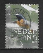2020, Bos- en Heidevogels, Gekraagde Roodstaart [3869](K2412, Ophalen of Verzenden