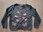 Donkergrijs vest maat 98/104, Kinderen en Baby's, Kinderkleding | Maat 98, Meisje, Trui of Vest, H&M, Ophalen of Verzenden