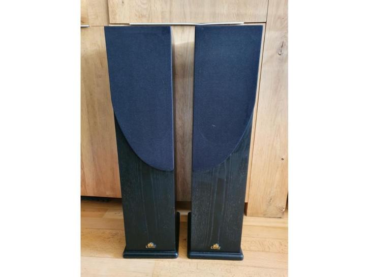 Castle Vloerstaande speakers - 100 Watt, Audio, Tv en Foto, Luidsprekers, Zo goed als nieuw, Front, Rear of Stereo speakers, 60 tot 120 watt