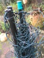 afrasternet kippen, Dieren en Toebehoren, Pluimvee, Vrouwelijk, Kip