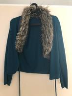 Blauw vest, Verzenden, Zo goed als nieuw, Blauw