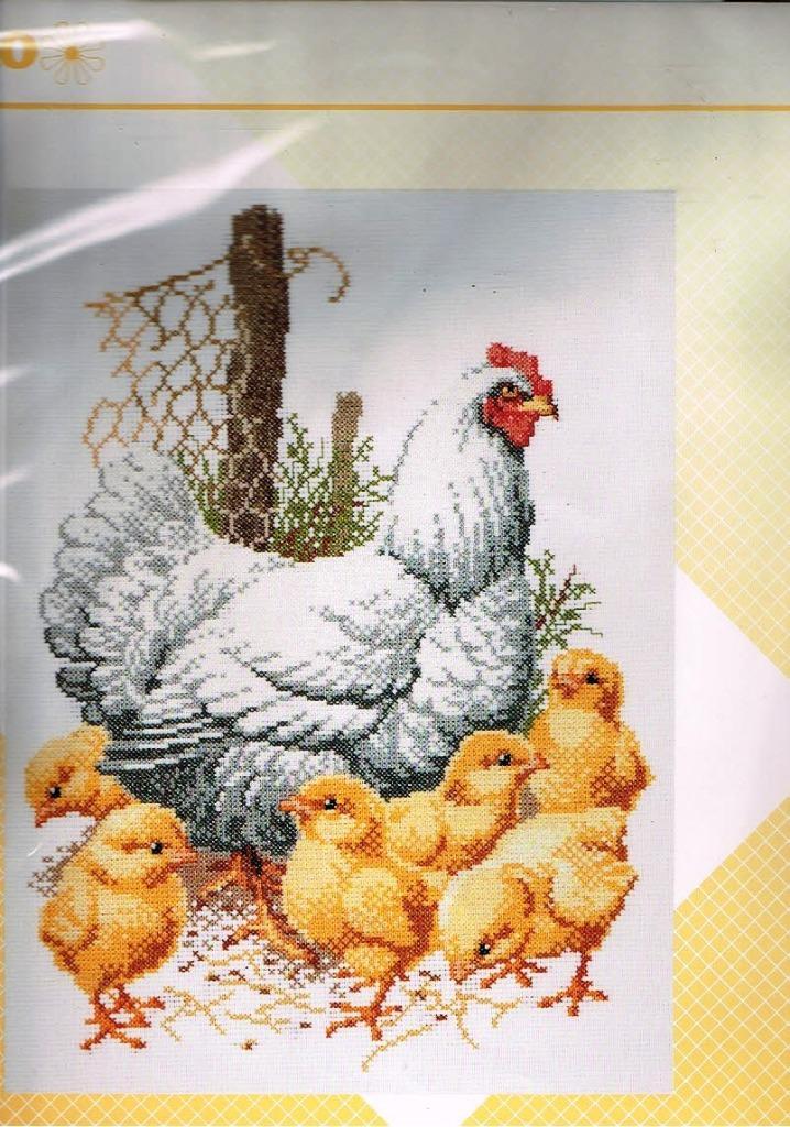 Cado aanbieding pako borduurpakket  kip met kuikens, Hobby en Vrije tijd, Borduren en Borduurmachines, Nieuw, Borduurpakket, Handborduren