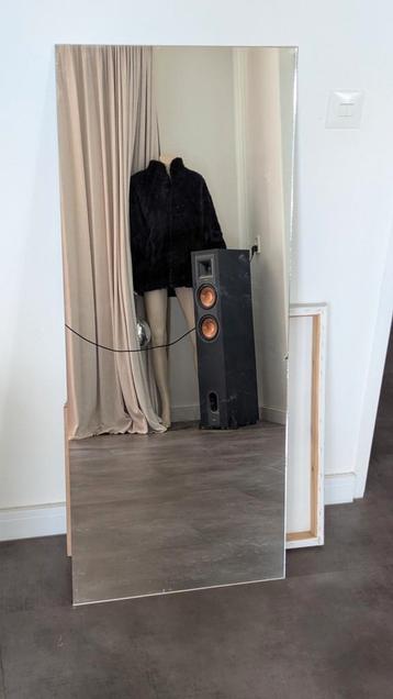 Spiegel 50x120cm beschikbaar voor biedingen